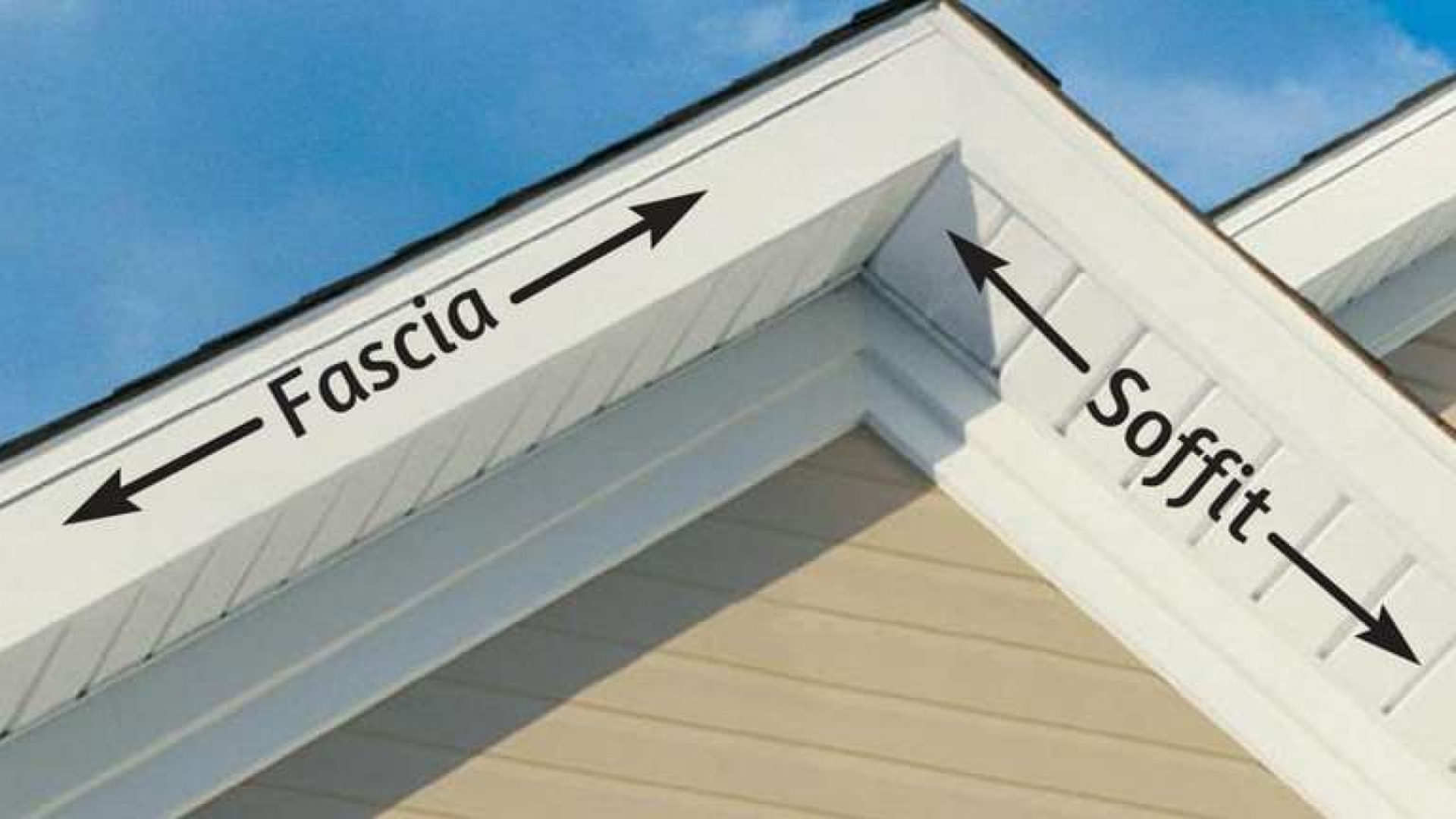 Southwest Florida Gutter, Soffit, and Fascia Experts – Reaper Rodent ...